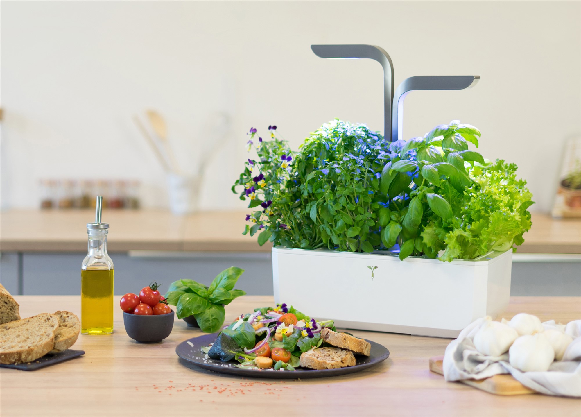 Véritable® Connect Kräutergarten