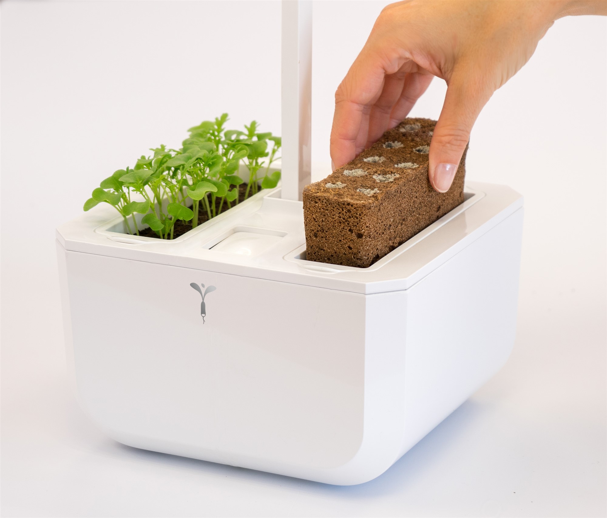 Véritable® Classic Kräutergarten weiss