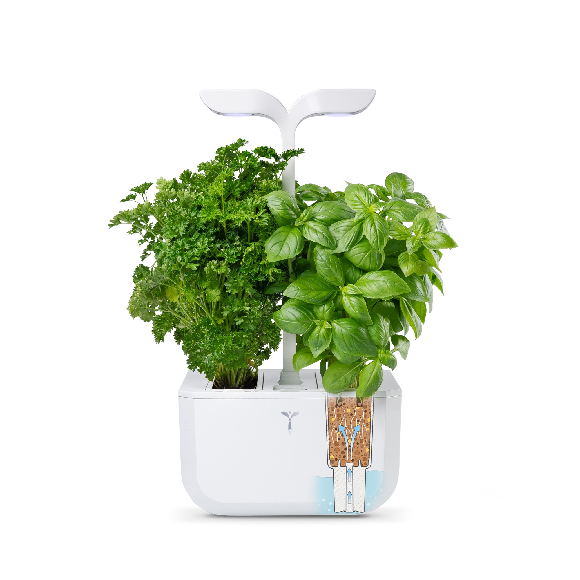 Véritable® Classic Kräutergarten weiss