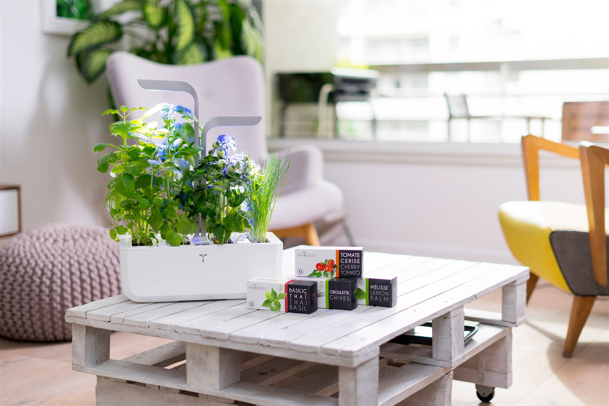 Véritable® Smart Kräutergarten