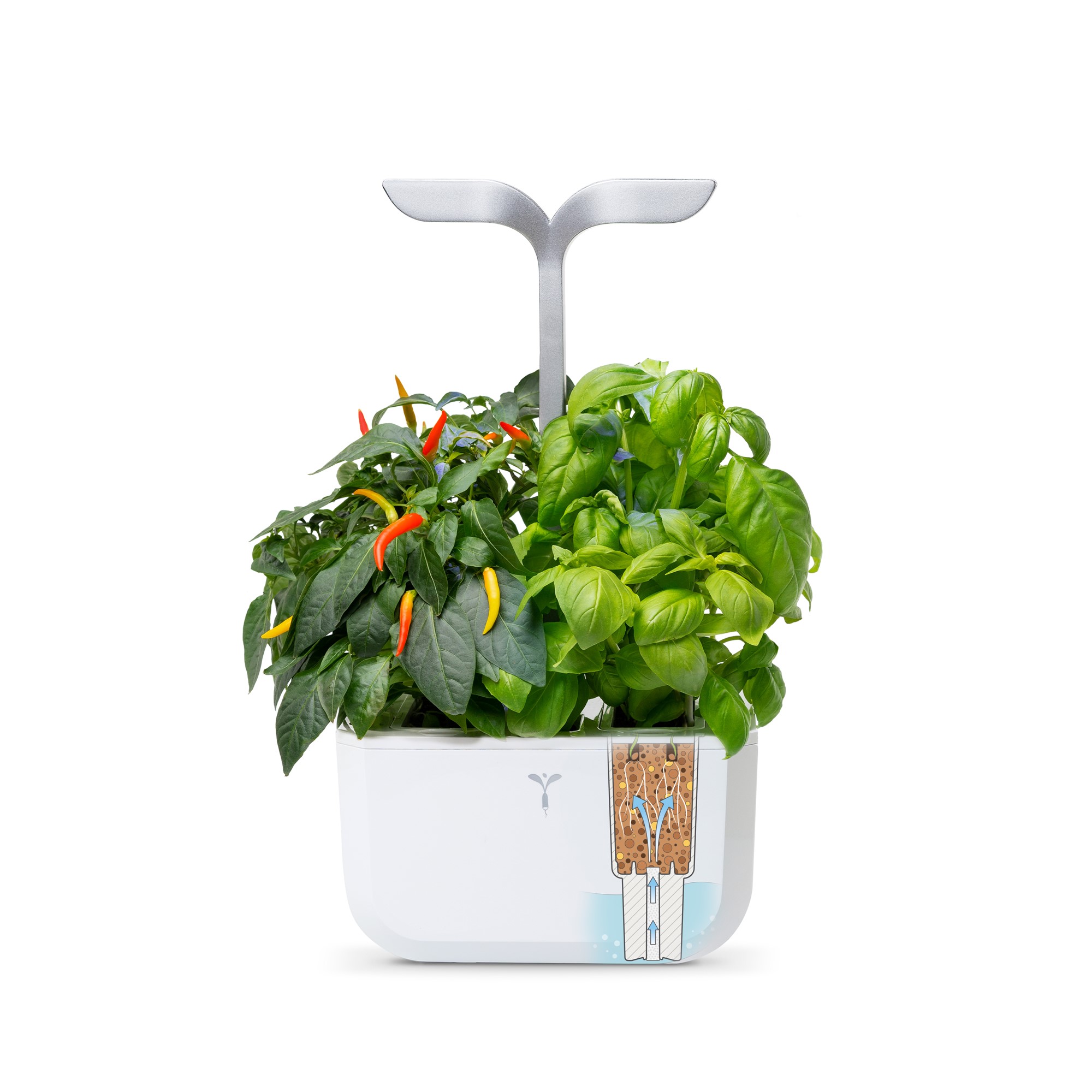 Véritable Exky® Smart Kräutergarten