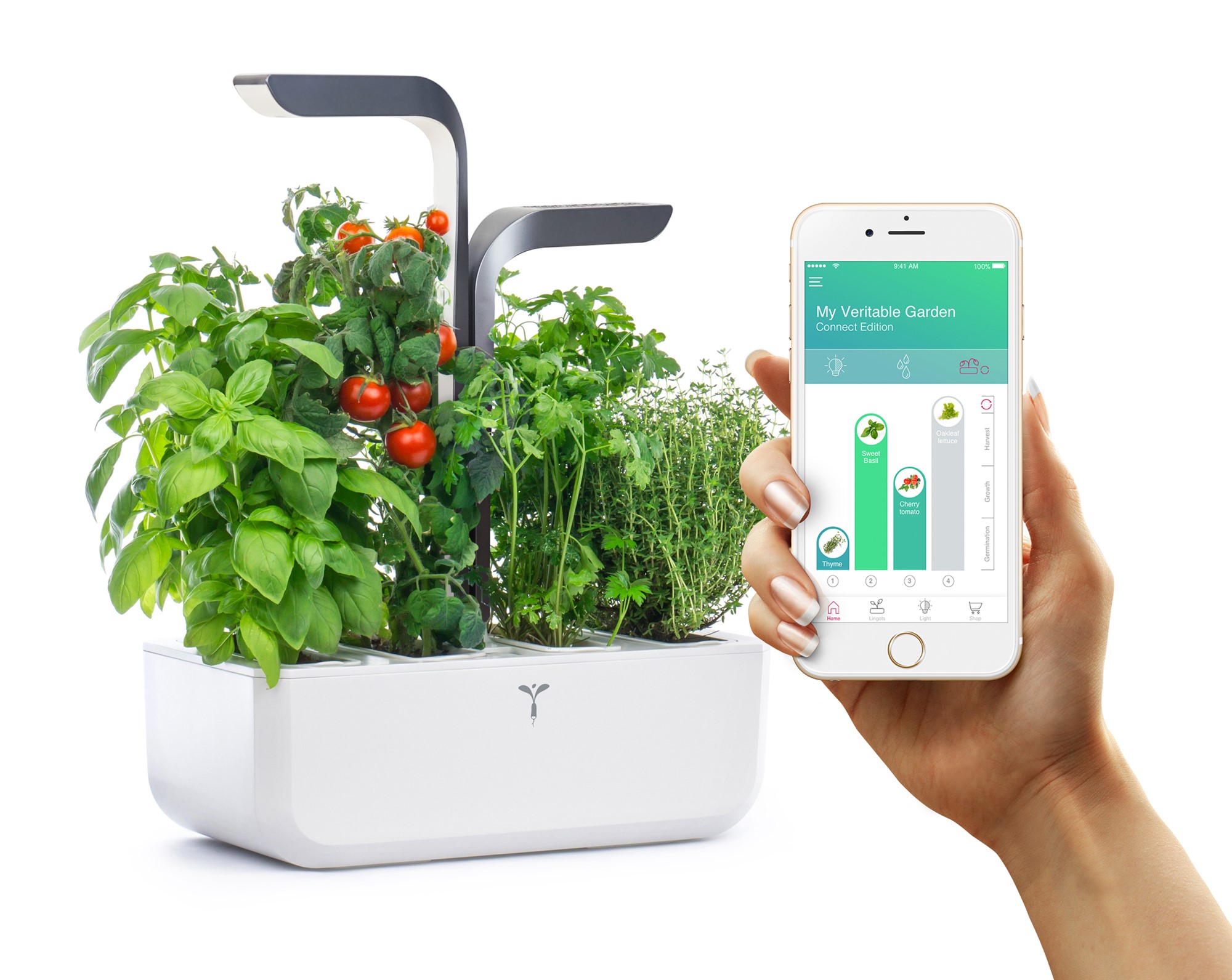 Véritable® Connect Kräutergarten