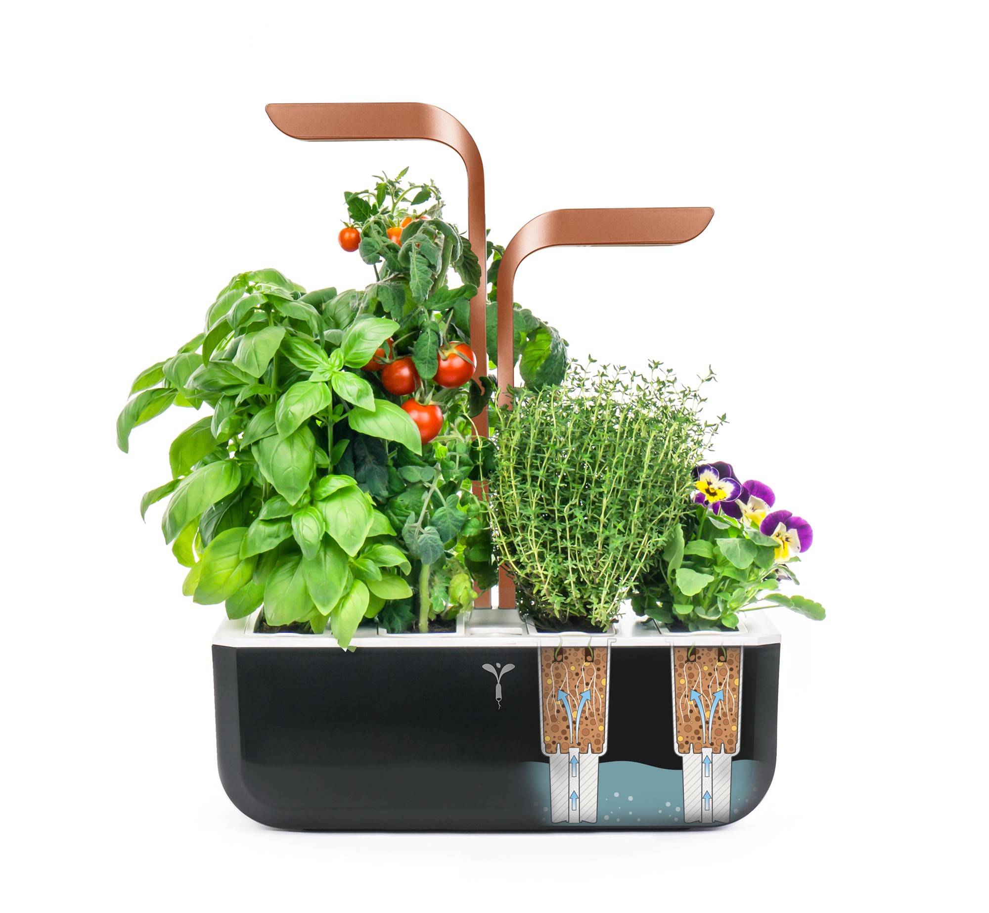 Véritable® Smart Kräutergarten