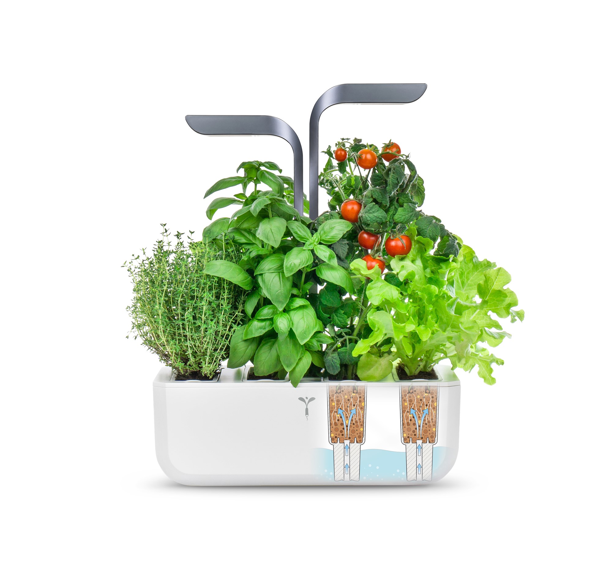 Véritable® Connect Kräutergarten