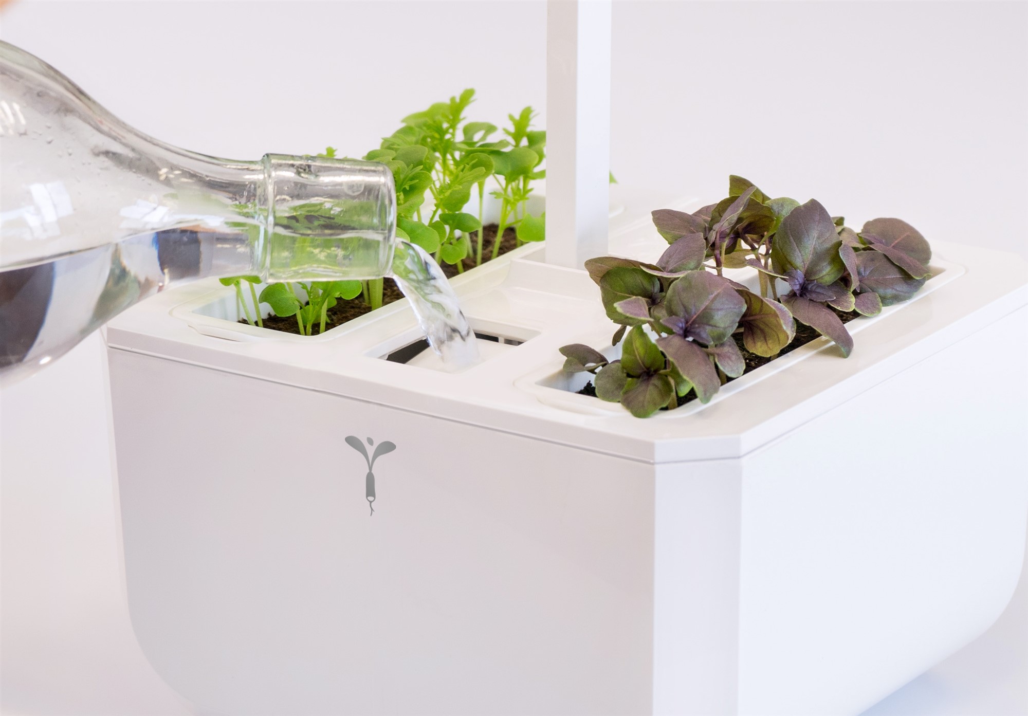 Véritable Exky® Classic Kräutergarten weiss
