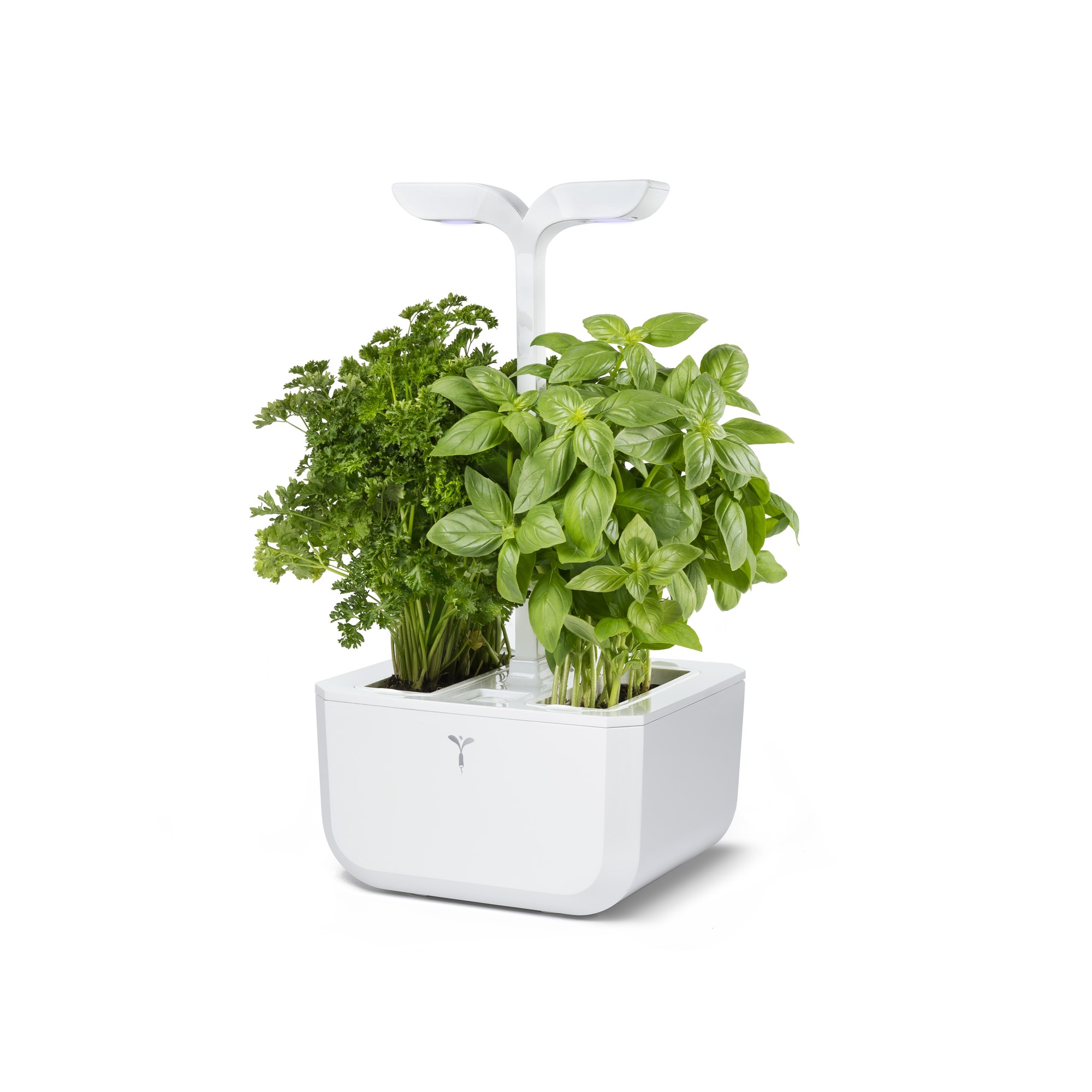 Véritable Exky® Classic Kräutergarten weiss
