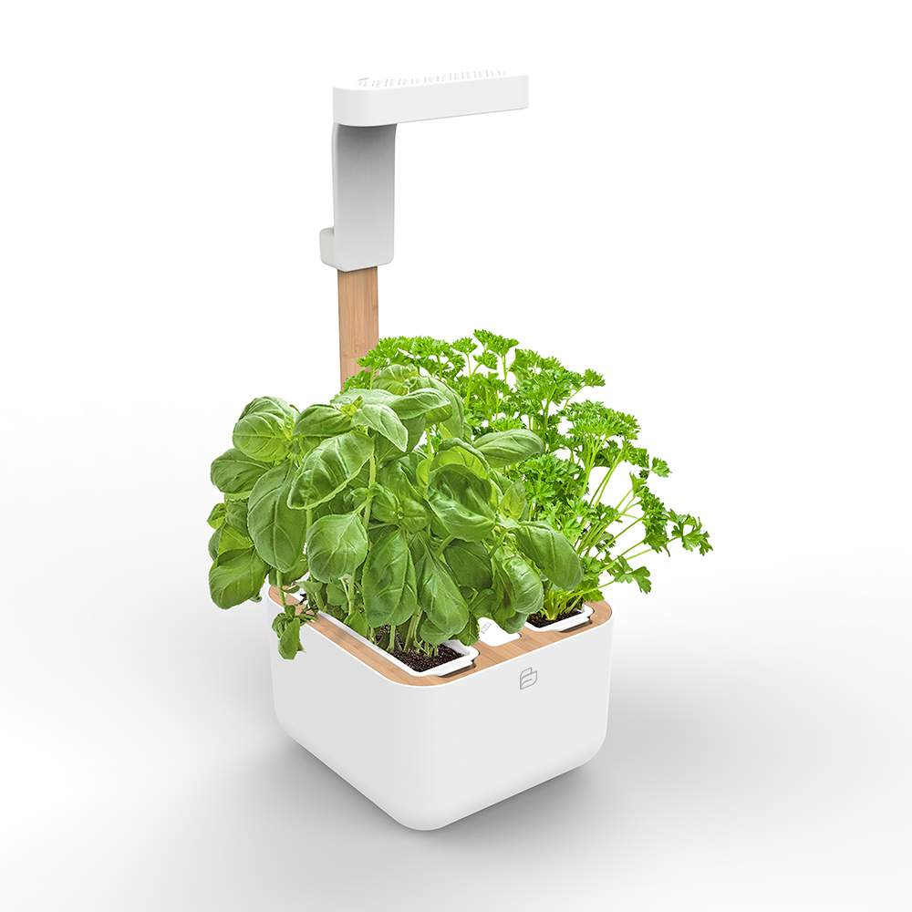 Botaneo® EYLO Kräutergarten weiss