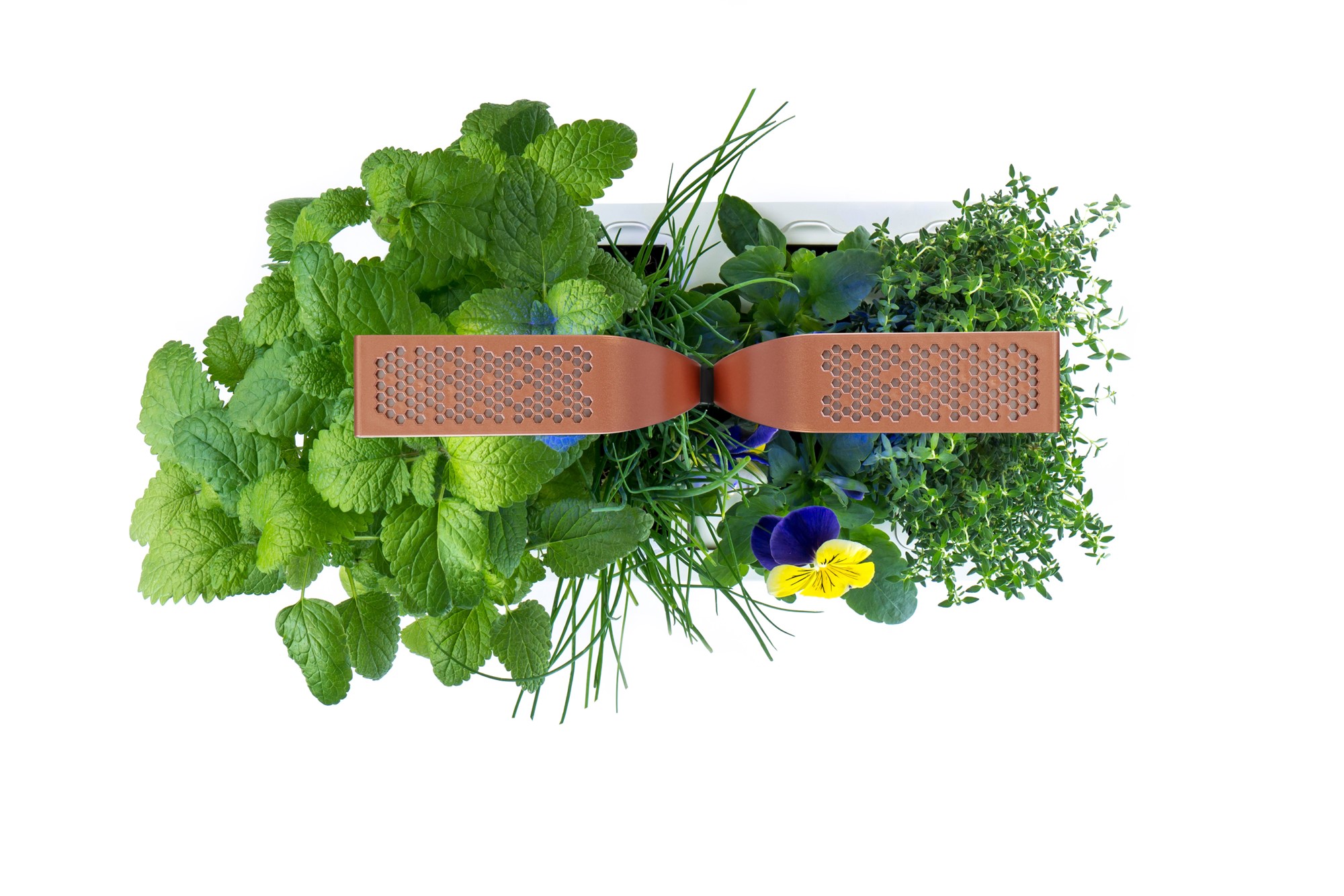 Véritable® Smart Kräutergarten