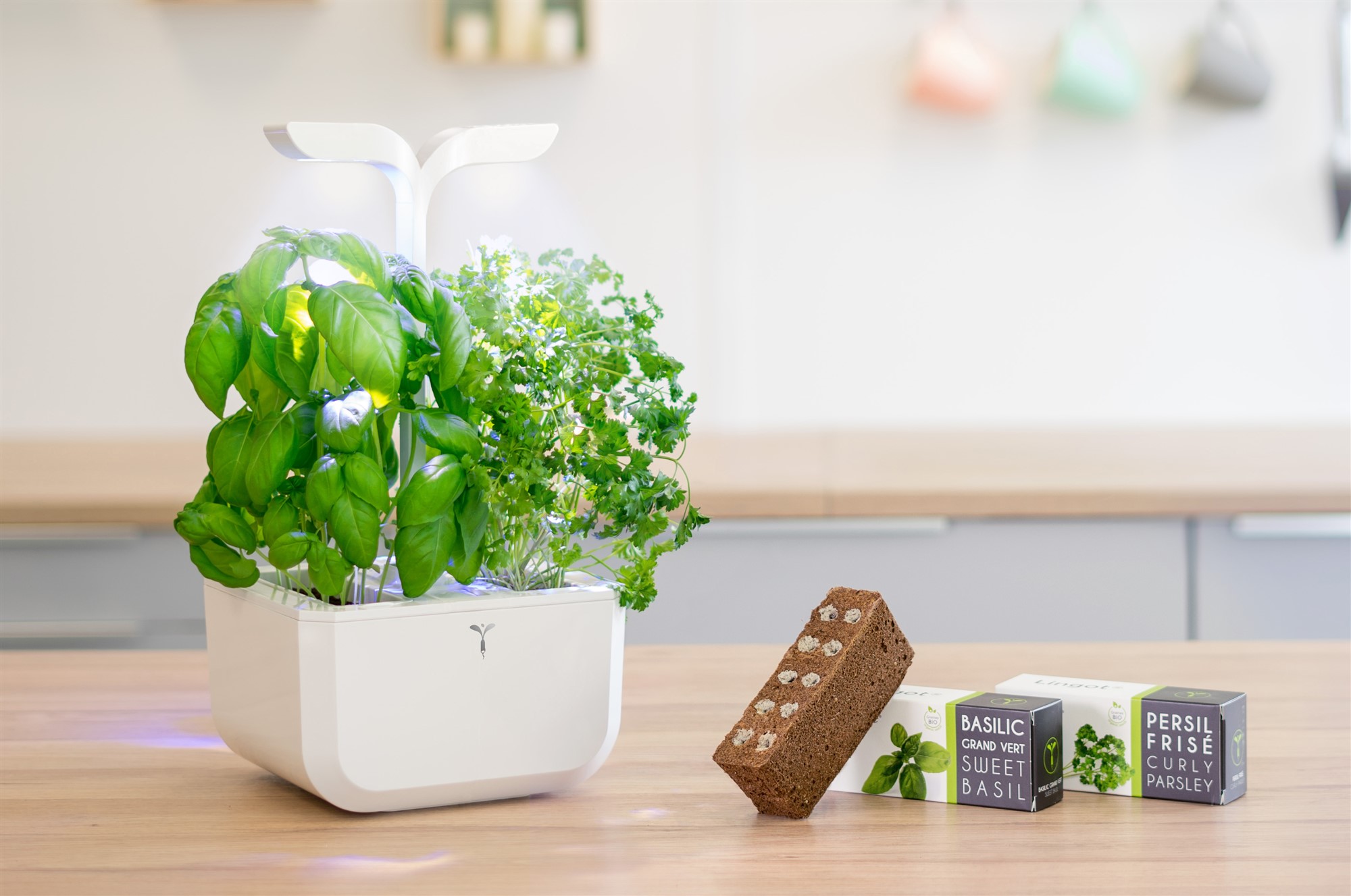 Véritable® Classic Kräutergarten weiss